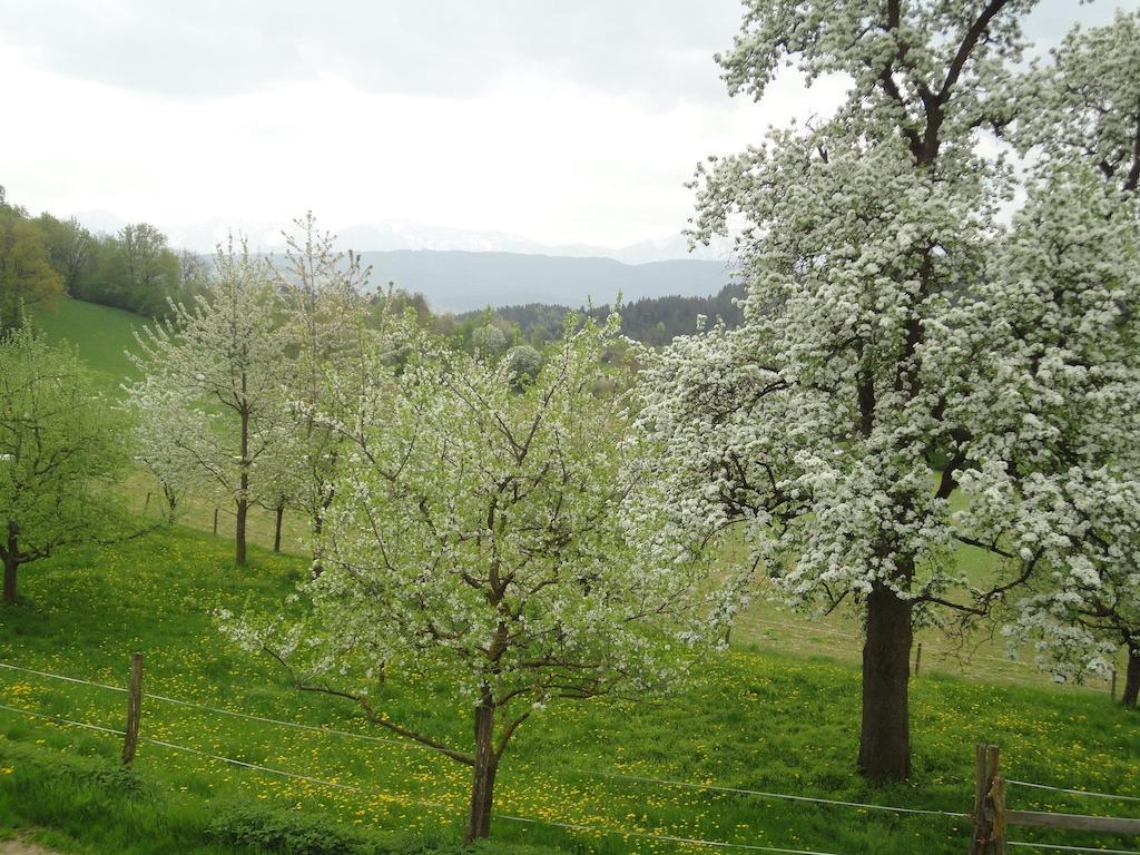 Kollehof Krumpendorf Exterior foto